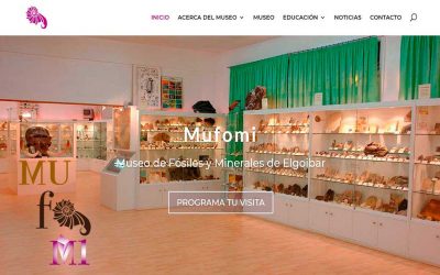 Nueva página web Mufomi
