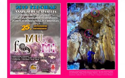Libro 25 aniversario del Museo de fósiles y minerales. PDF