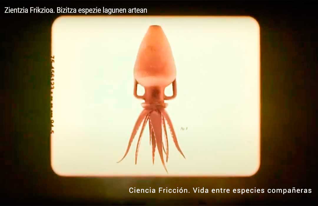 Estromatolitos del Mufomi para Ciencia Fricción