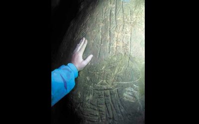 Hartzak Debabarrenean