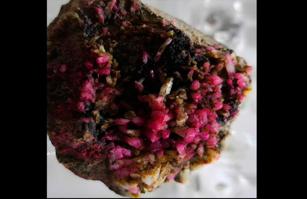 purpurita heterosita