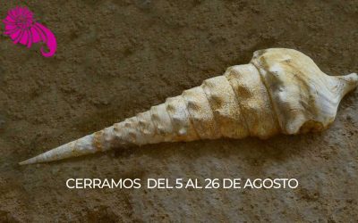 El museo permanecerá cerrado en agosto por vacaciones