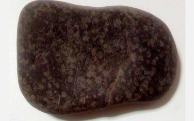 Roca fósil polimetálica magnética