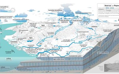 Día Mundial del agua 2026